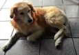 Bingo