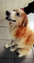 Bingo