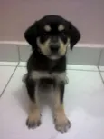 Sem nome