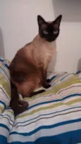 Nina 