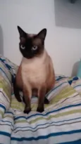 Nina 