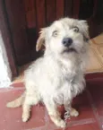 REX