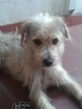 REX