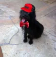 Slinky