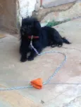 Slinky