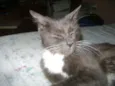 Mel