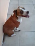 Nina