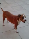 Nina