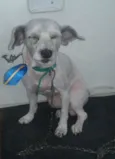 Dobby