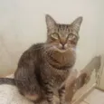 Smeagol