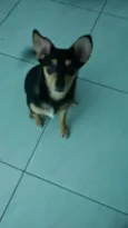 Jack
