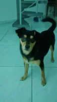 Jack