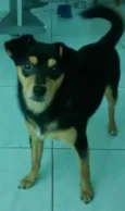 Jack