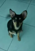 Jack
