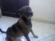 Tita