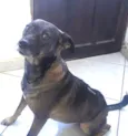 Tita