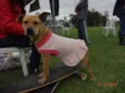 Penélope