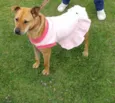 Penélope