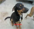 Vitório