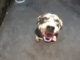 Teka