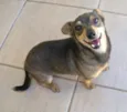 TIN