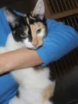 JellyBeans
