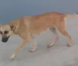 Boca Preta