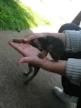 --