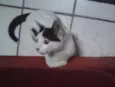 Romeu
