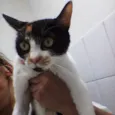 Rubi