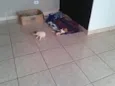 vcEscolhe