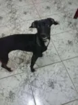 Não tem