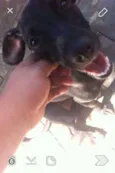 Não tem