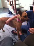 Lola