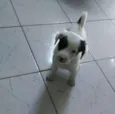 Rubi, Pirata