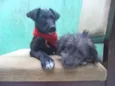 Lepe/ Lupita/ Loli
