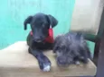 Lepe/ Lupita/ Loli