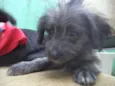 Lepe/ Lupita/ Loli