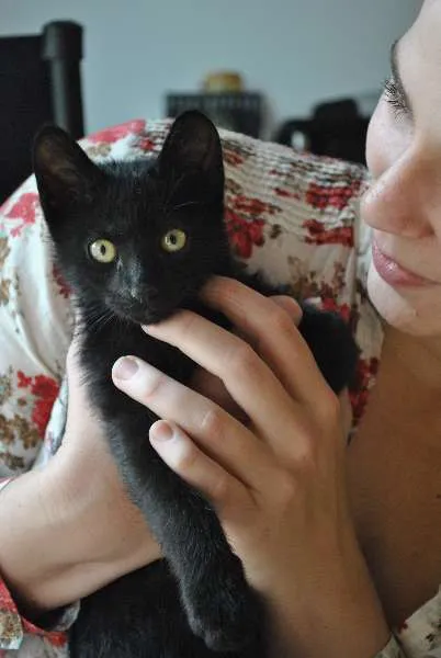 Gato ra a Vira Lata idade Abaixo de 2 meses nome Manjericão
