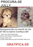 JULLY GRATIFICA