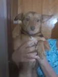 Bob