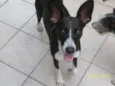 Meg