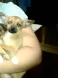 Princesas