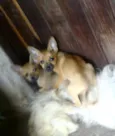 Princesas
