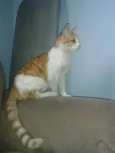 Sol
