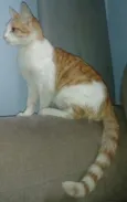 Sol