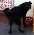 SEM NOME/não sabemos