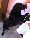 SEM NOME/não sabemos