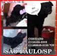SEM NOME/não sabemos
