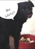 SEM NOME/não sabemos